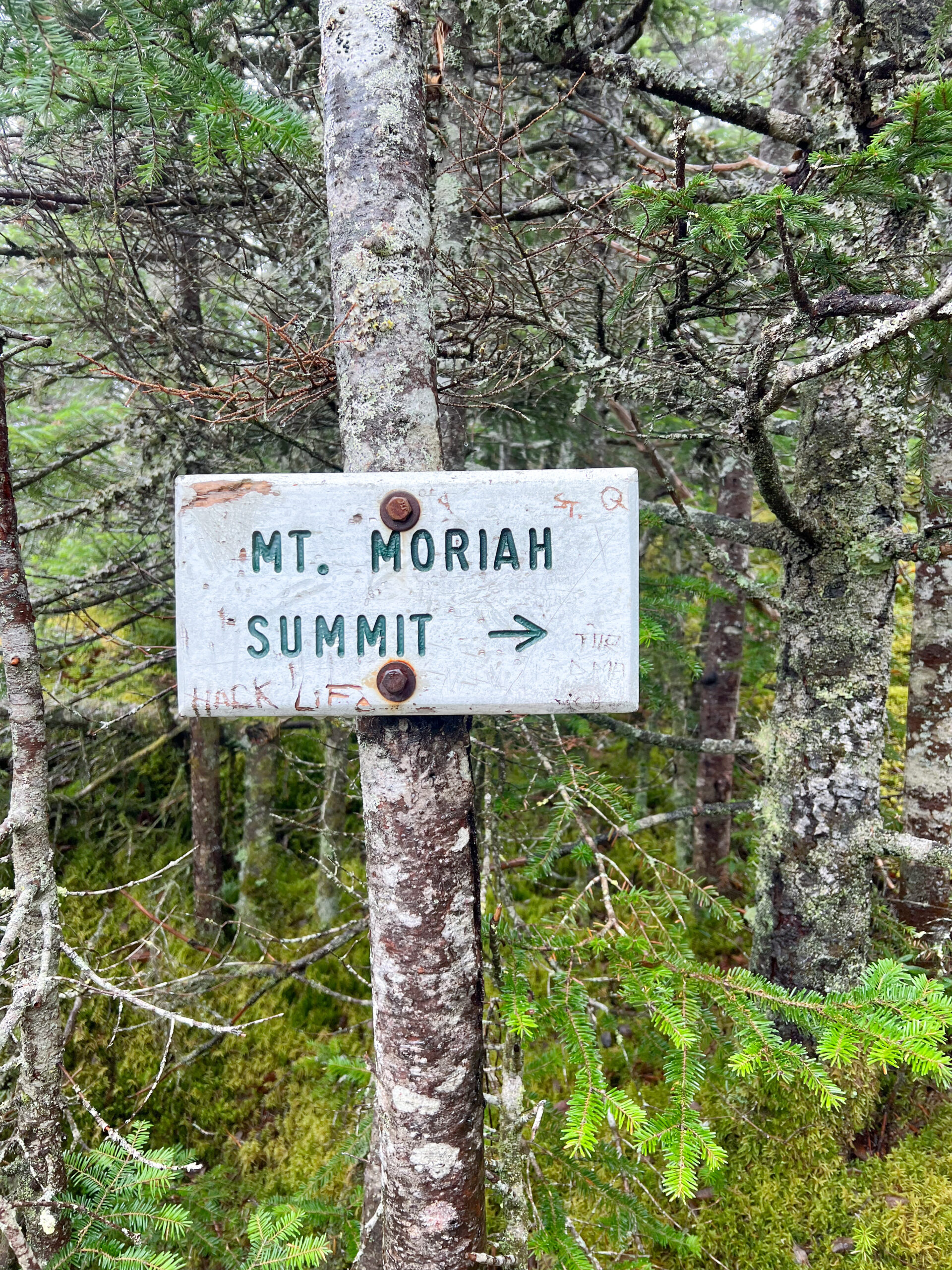 How to Hike Mt. Moriah (NH 4000 Footer) The Ocean Drifter